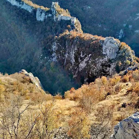 Dom Moj Mir * Soko Banja